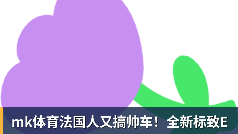 mk体育法国人又搞帅车！全新标致E